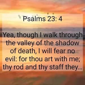 Meet your Posher, Rick